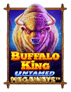 บทความ joker: สูตรชนะเกมสล็อตแบบมืออาชีพ