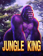 joker slot game png: ทดลองเล่นสนุกได้ไม่จำกัด